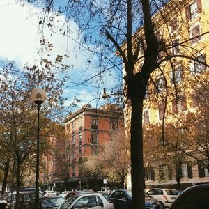 Meet your Posher, Dayani